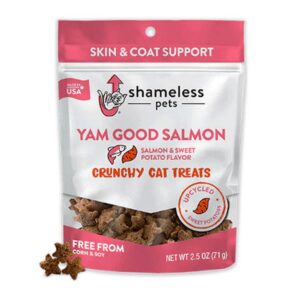 Salmon Crunch Bites