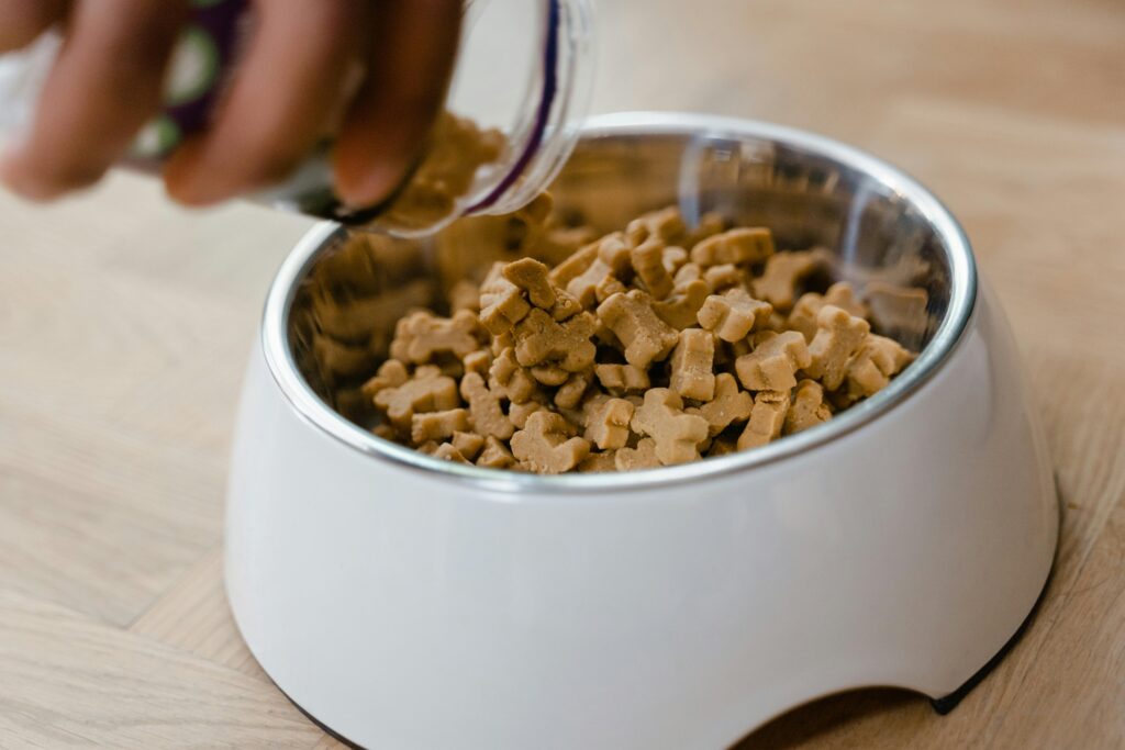 pexels-photo-8434637-8434637 Close-up of hand pouring dog biscuits into a bowl, perfect for pet care themes.